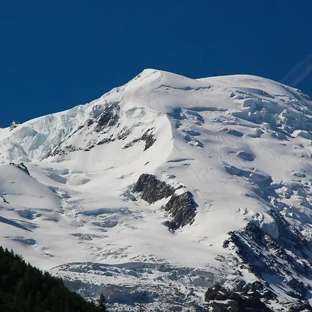 51m2 Vue Mt Blanc Daire