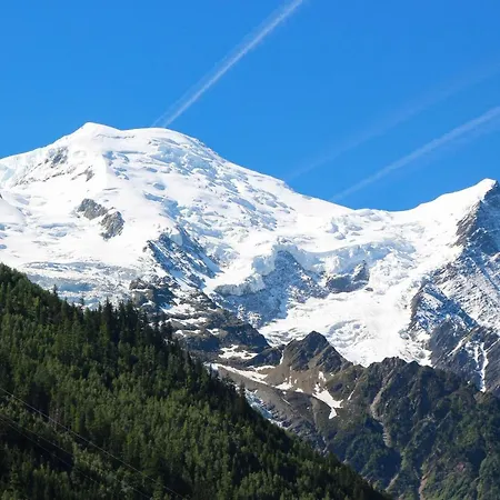 51m2 Vue Mt Blanc * שאמוני